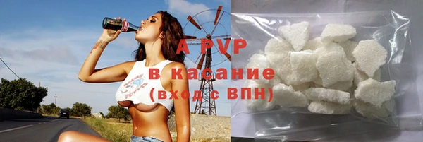 стаф Вяземский