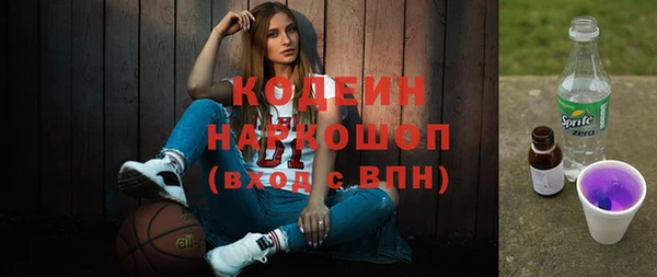 стаф Вяземский
