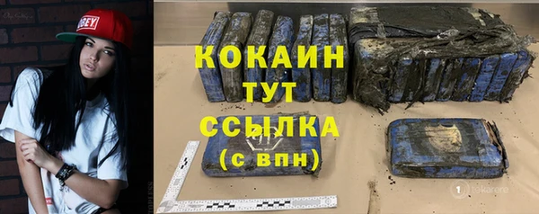 стаф Вяземский