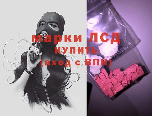стаф Вяземский
