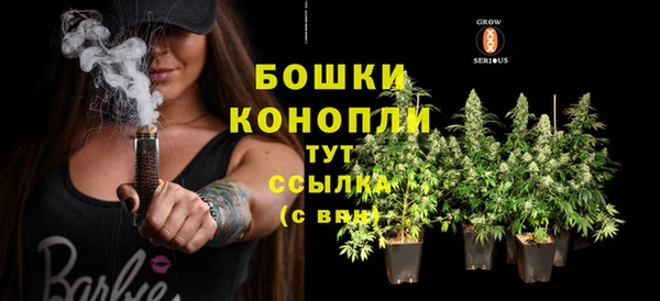 стаф Вяземский