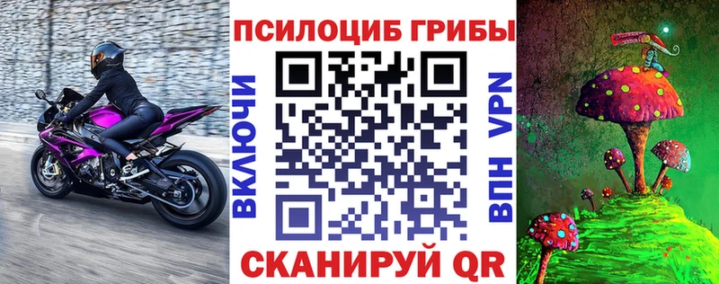 Галлюциногенные грибы GOLDEN TEACHER  Рыбинск 